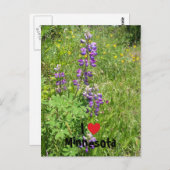 Carte Postale I Coeur Minnesota (Devant / Derrière)