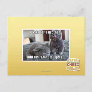 Carte Postale I demande un frère