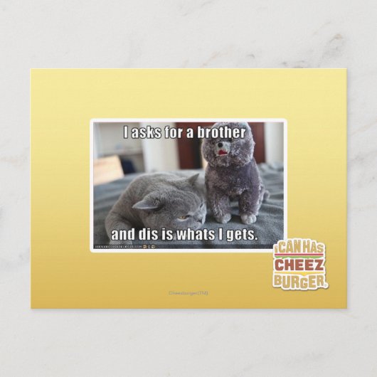 Carte Postale I demande un frère (Devant)