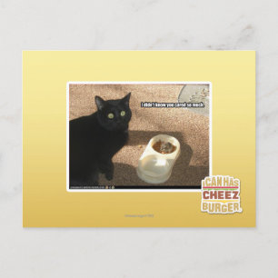 Carte Postale I don't know you cared