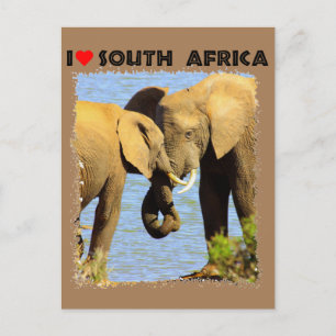 Carte Postale I Heart Afrique du Sud éléphants amoureux