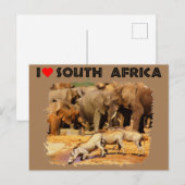 Carte Postale I Heart Afrique du Sud phacochères et éléphants (Devant / Derrière)