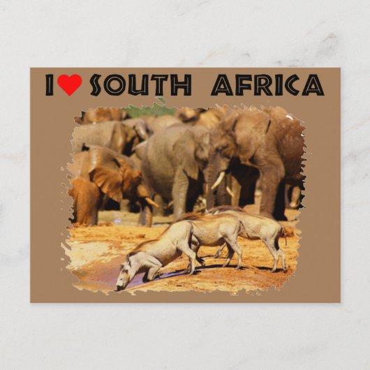 Carte Postale I Heart Afrique du Sud phacochères et éléphants (Devant)