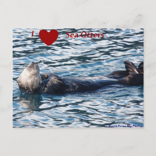 Carte postale I Heart Sea Otters (Devant)