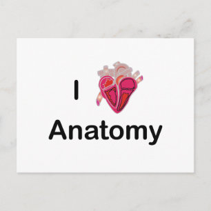 Carte Postale I Love Anatomy with human heart!