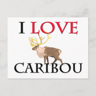 Carte Postale I Love Caribou