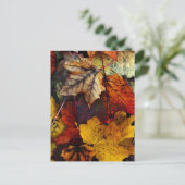 Carte postale - 'I Love Fall' de Joanne Coyle (Debout devant)