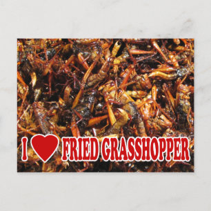 Carte Postale I Love (Heart) Fried Grasshopper