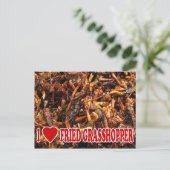 Carte Postale I Love (Heart) Fried Grasshopper (Debout devant)