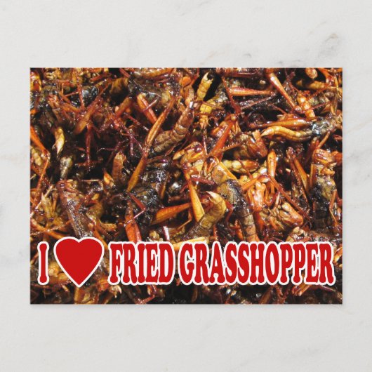 Carte Postale I Love (Heart) Fried Grasshopper (Devant)