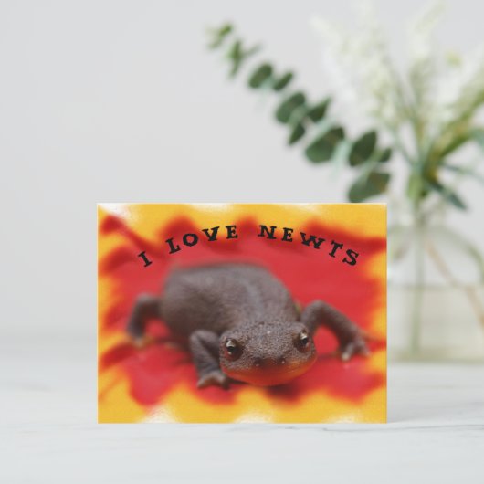 Carte postale I Love Newts (Debout devant)