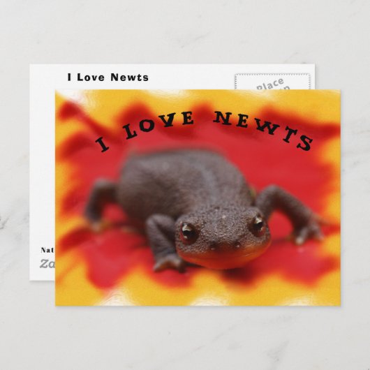 Carte postale I Love Newts (Devant / Derrière)