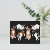 Carte postale I Love Rabbits (Debout devant)
