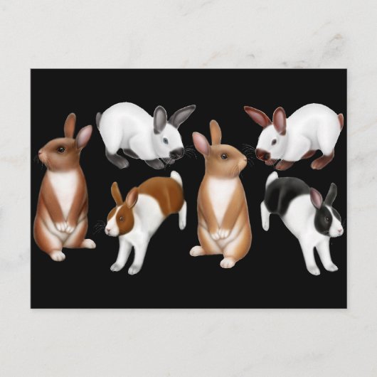 Carte postale I Love Rabbits (Devant)