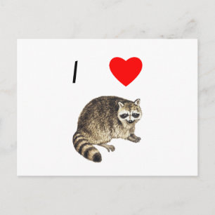 Carte Postale I Love Raccoons