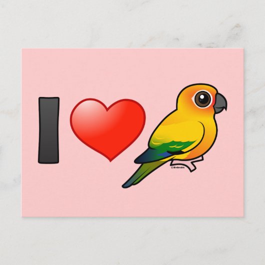 Carte Postale I Love Sun Conures (Devant)
