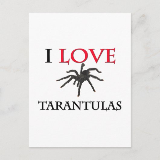 Carte Postale I Love Tarantulas (Devant)