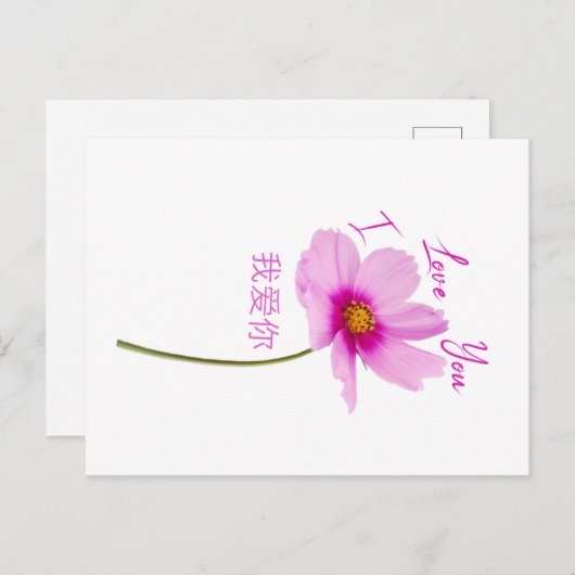 Carte Postale I Love You (Wo Ai Ni) en chinois (Devant / Derrière)