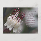 Carte Postale I Pierre 4:13 Inspirationnel Floral (Devant)