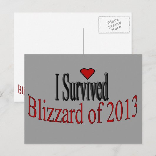 Carte postale I Survived Blizzard 2013 (Devant / Derrière)