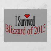 Carte postale I Survived Blizzard 2013 (Devant)