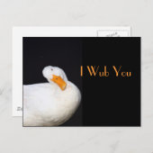 Carte Postale I Wub vous, canard blanc mignon (Devant / Derrière)