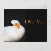 Carte Postale I Wub vous, canard blanc mignon (Devant)