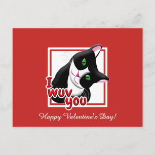 Carte Postale I Wuv You Valentines's Day Cat