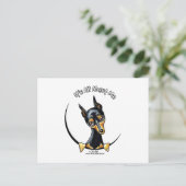 Carte Postale IAAM de Pinscher Miniature (Debout devant)