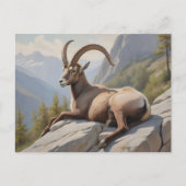 Carte Postale Ibex alpin posé sur une falaise rocheuse (Devant)
