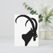 Carte Postale ibex capricorn steinbounboad goungoat sheep climb (Debout devant)