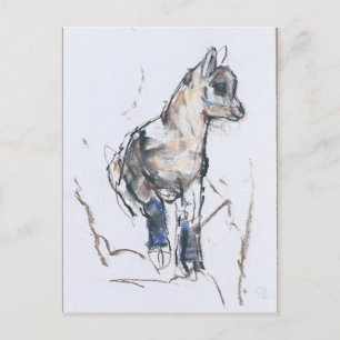 Carte Postale Ibex Kid