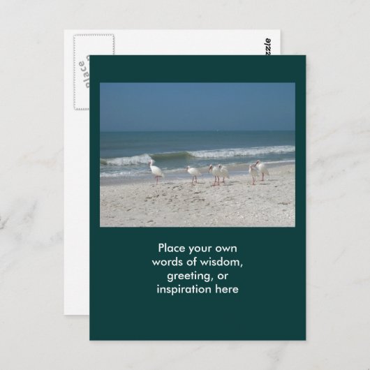 Carte Postale Ibis Beach (Devant / Derrière)