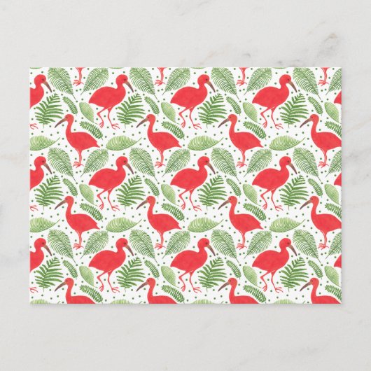 Carte Postale Ibis écarlate (Devant)