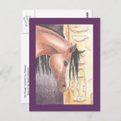 Carte postale "Ibn Denah" (Devant / Derrière)