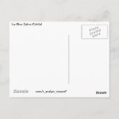 Carte Postale Ice Blue Zebra Cichlid (Dos)