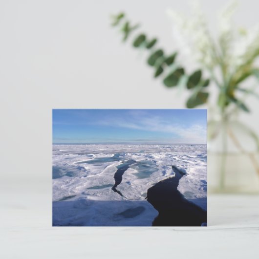 Carte Postale Ice fields in the Arctic Ocean (Debout devant)