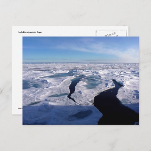Carte Postale Ice fields in the Arctic Ocean (Devant / Derrière)