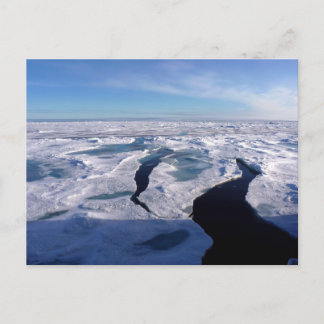 Carte Postale Ice fields in the Arctic Ocean