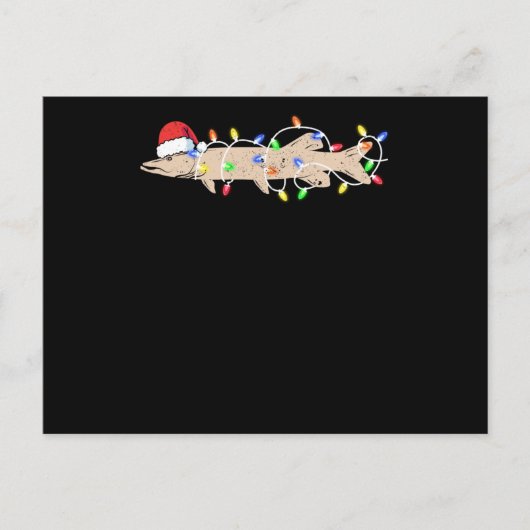 Carte Postale Ice fishing Muscy Musy Funny Santa (Devant)