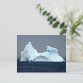 Carte Postale Icebergs à Terre-Neuve (Debout devant)