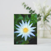 Carte postale Iceblue Water Lily (Debout devant)