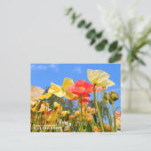 Carte Postale Iceland Poppy (Debout devant)