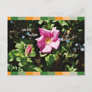 Carte Postale Ich bin schoen
