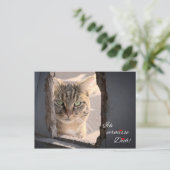 Carte Postale Ich vermisse Dich ! (Debout devant)