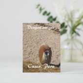 Carte Postale Ici lama de lama (Debout devant)