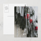 Carte Postale Icicules (Devant / Derrière)