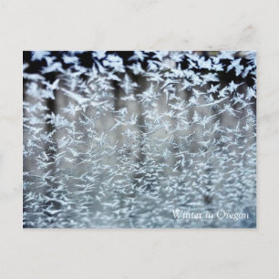 Carte Postale Icicules d'hiver