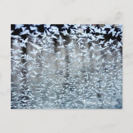 Carte Postale Icicules d'hiver (Devant)