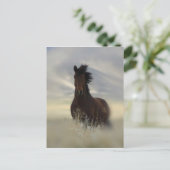 Carte postale Icone (Debout devant)